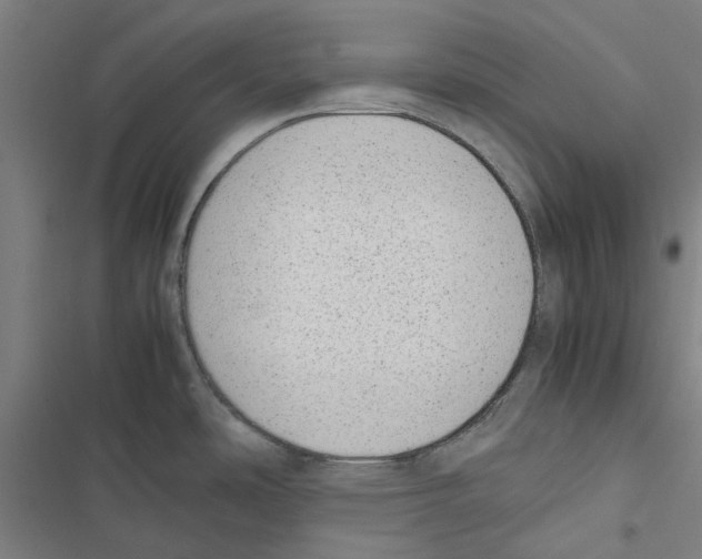 X0000116881486201001191733
