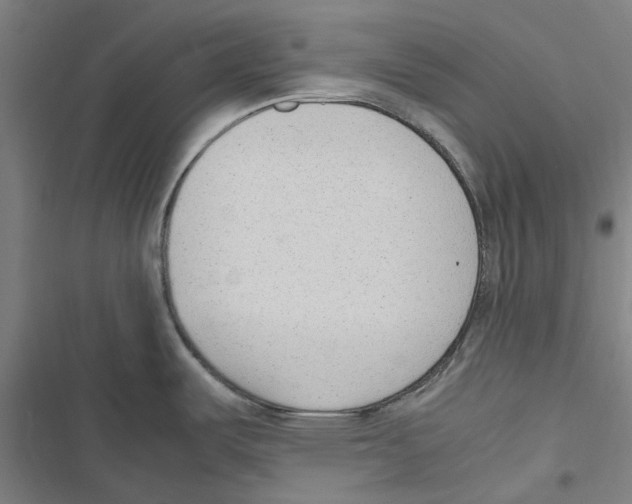 X0000116881487201001191733