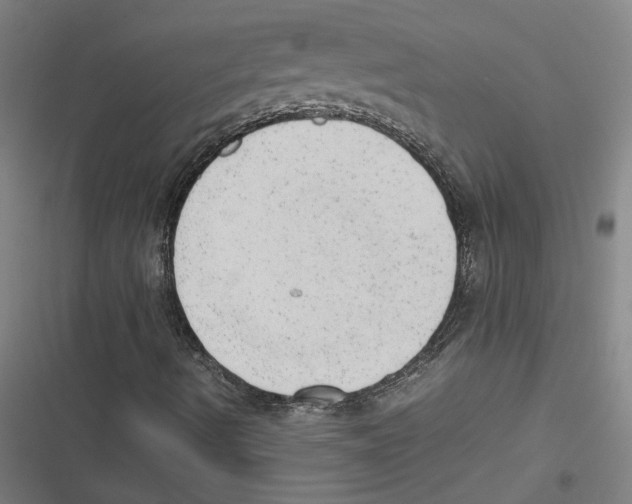 X0000116881490201001191733