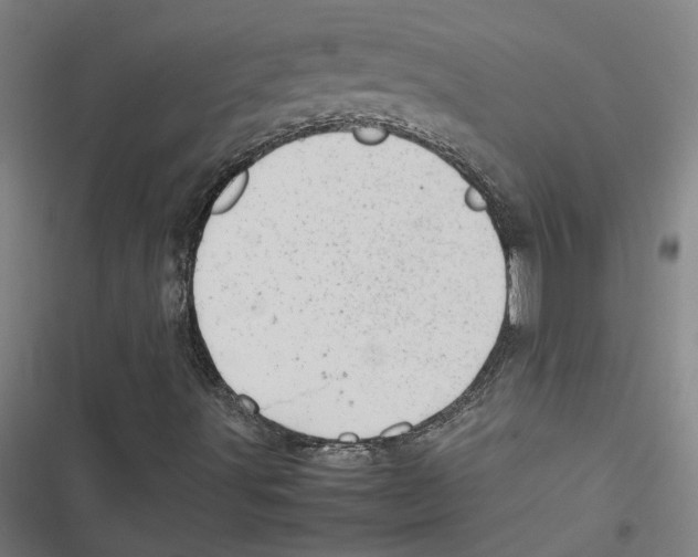 X0000116881491201001191733