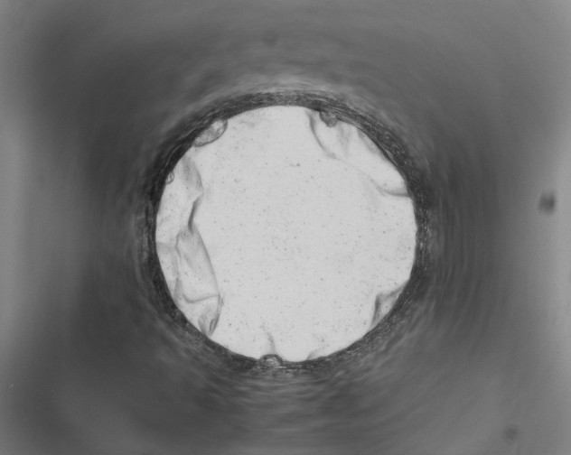 X0000116881493201001191733