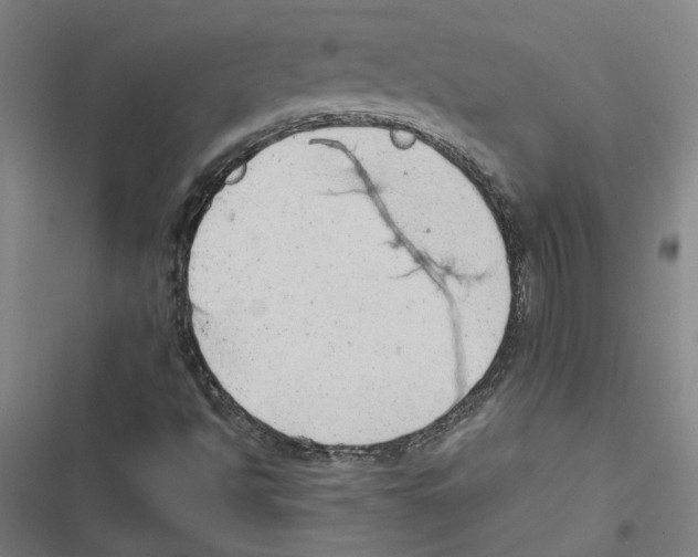 X0000116881494201001191733