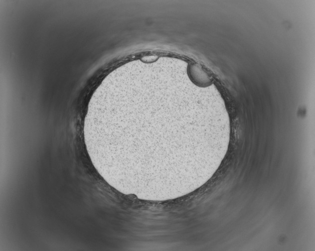 X0000116881495201001191733