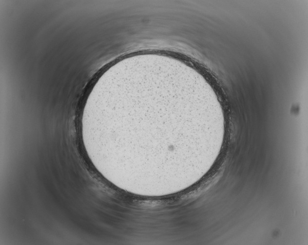 X0000116881497201001191733