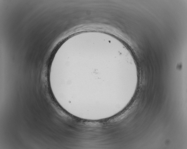 X0000116881498201001191733