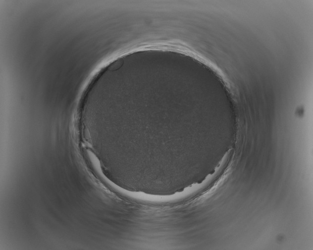 X0000116881506201001191733