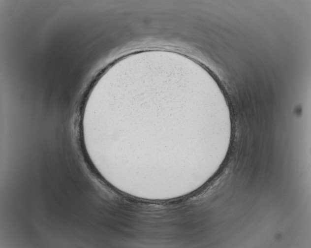 X0000116881507201001191733
