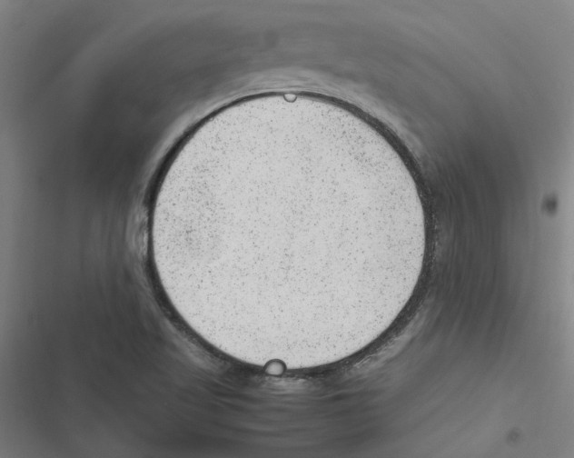 X0000116881509201001191733