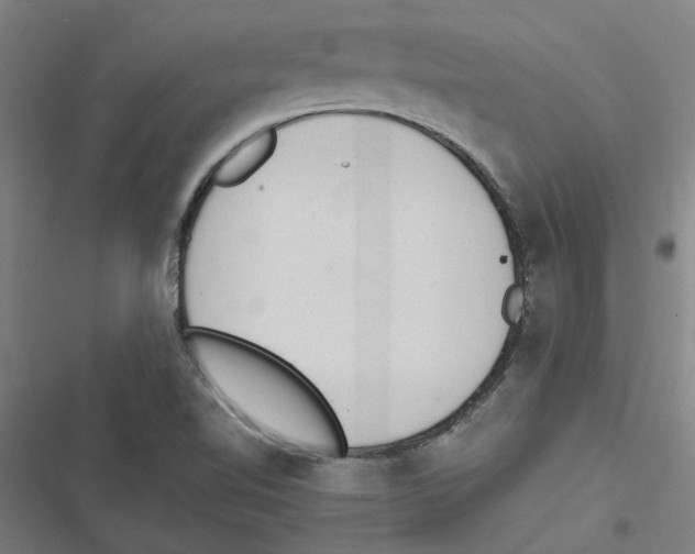 X0000116881510201001191733