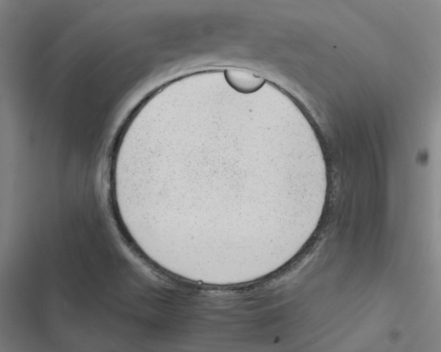 X0000116881511201001191733