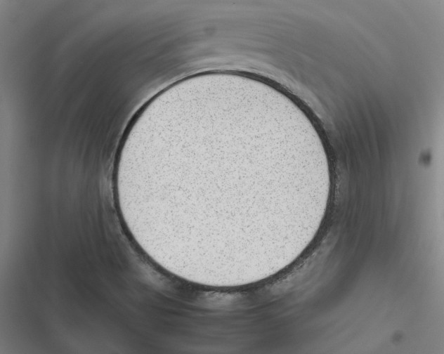 X0000116881513201001191733