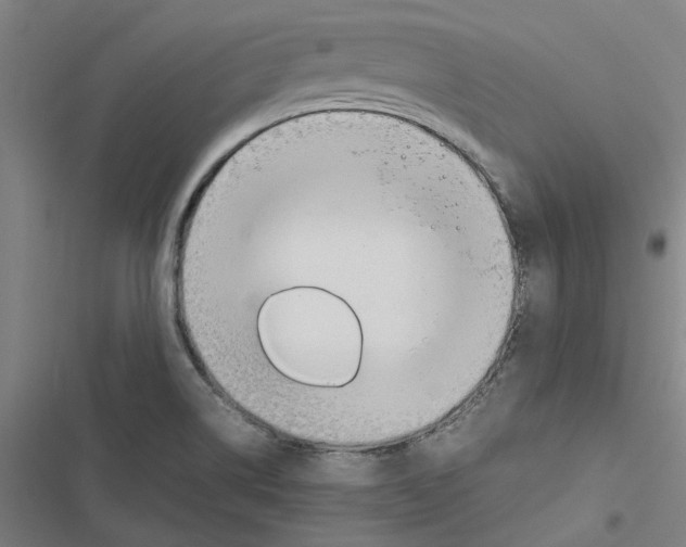 X0000116881514201001191733