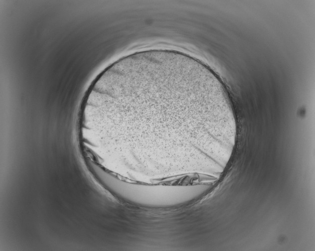 X0000116881518201001191733