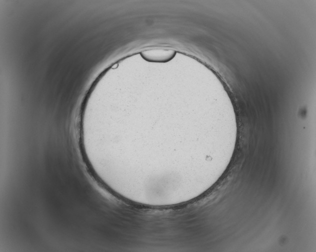 X0000116881519201001191733