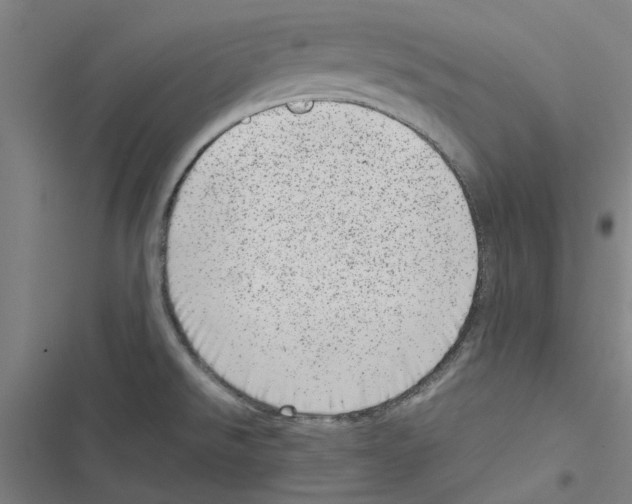 X0000116881526201001191733