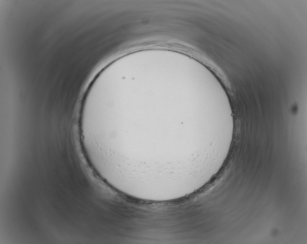 X0000116881530201001191733