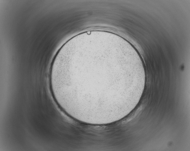 X0000116881533201001191733