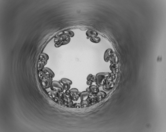 X0000116880001201002021158