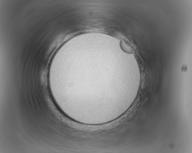 X0000116880002201002021158
