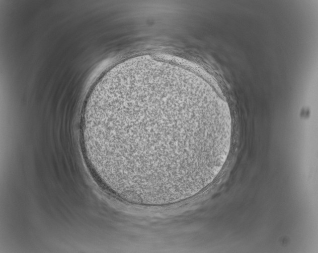 X0000116880003201002021158