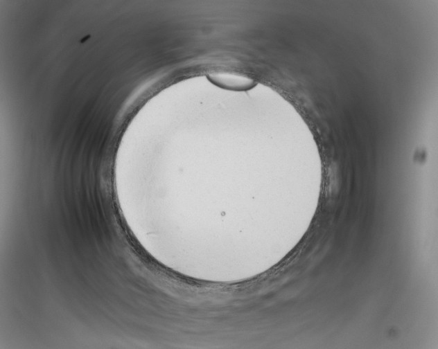 X0000116880004201002021158