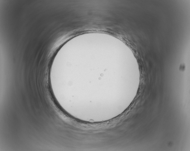 X0000116880005201002021158