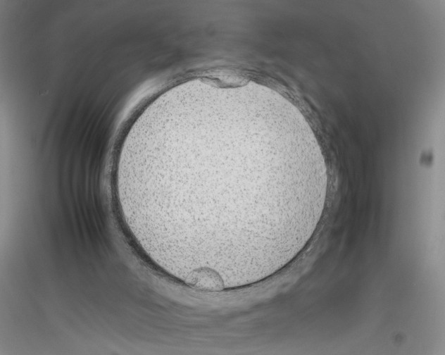X0000116880006201002021158