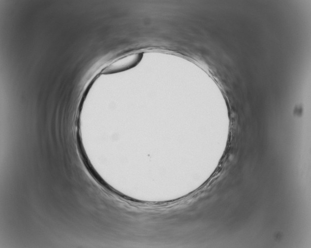X0000116880007201002021158