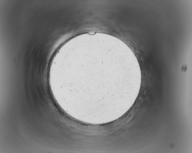 X0000116880008201002021158