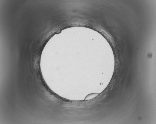 X0000116880009201002021158