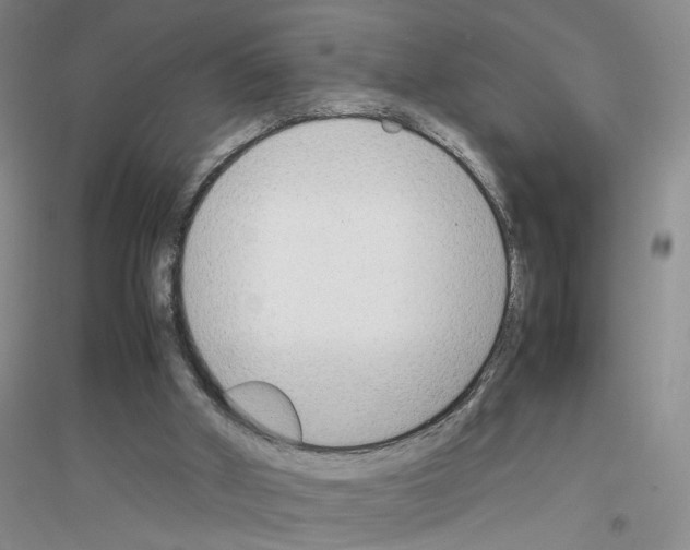 X0000116880010201002021158