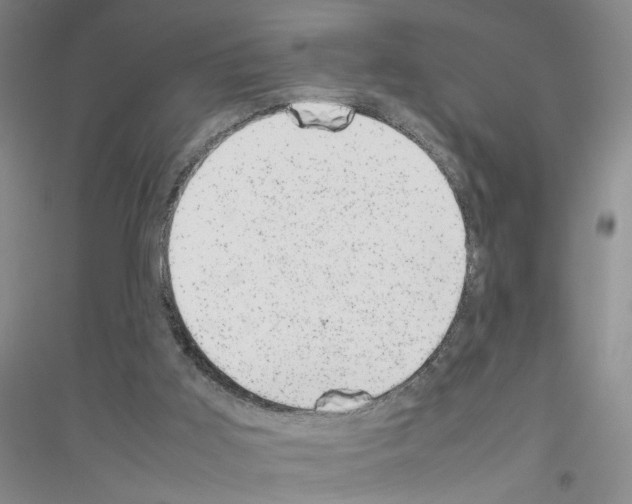 X0000116880011201002021158