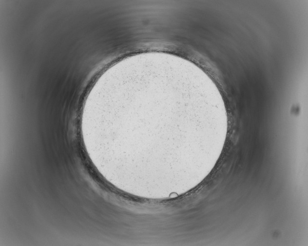 X0000116880012201002021158