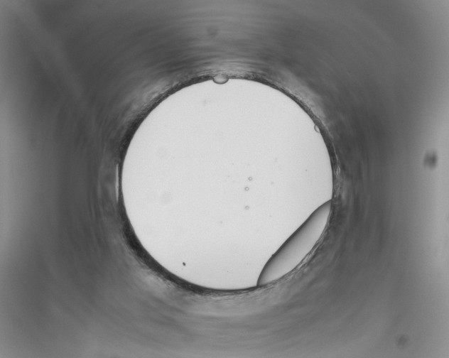 X0000116880013201002021158
