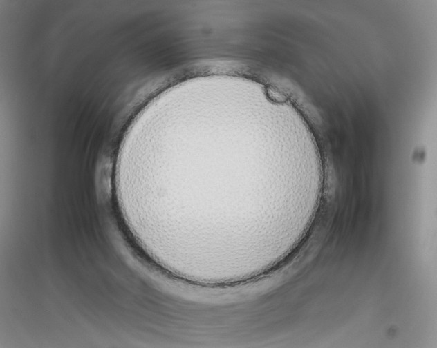 X0000116880014201002021158