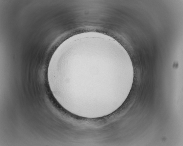 X0000116880016201002021158
