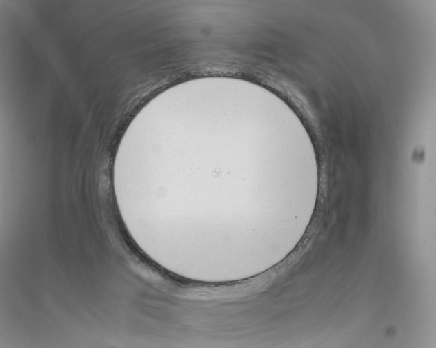X0000116880017201002021158