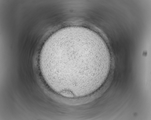 X0000116880018201002021158