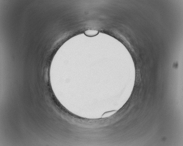 X0000116880019201002021158