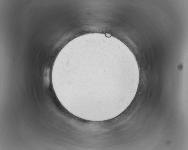 X0000116880020201002021158