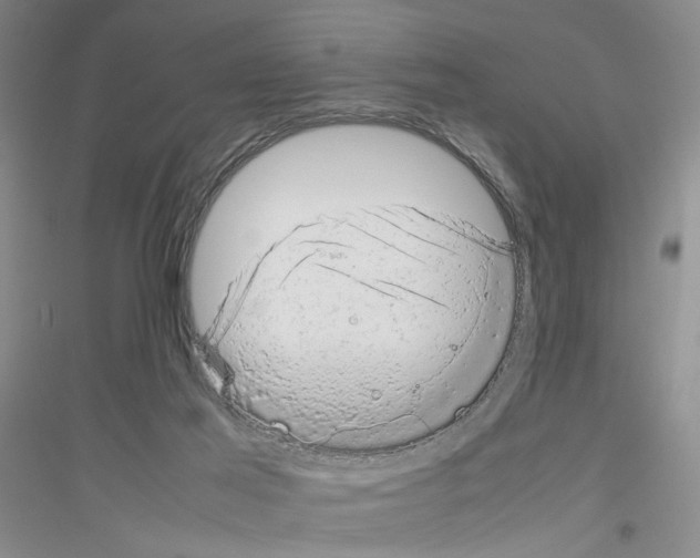X0000116880021201002021157
