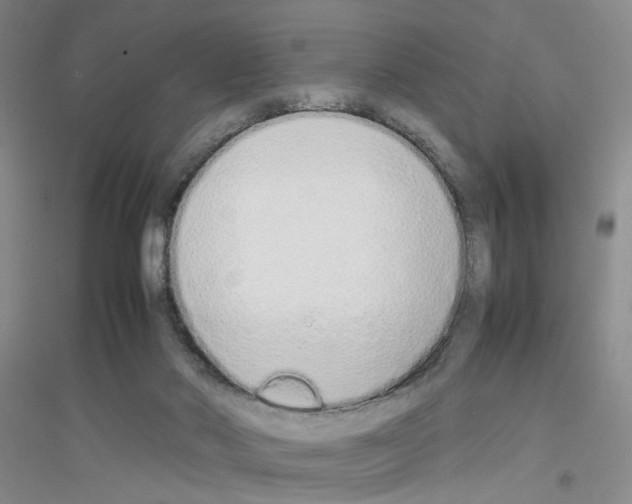 X0000116880022201002021157