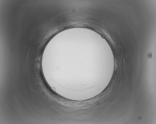 X0000116880023201002021157