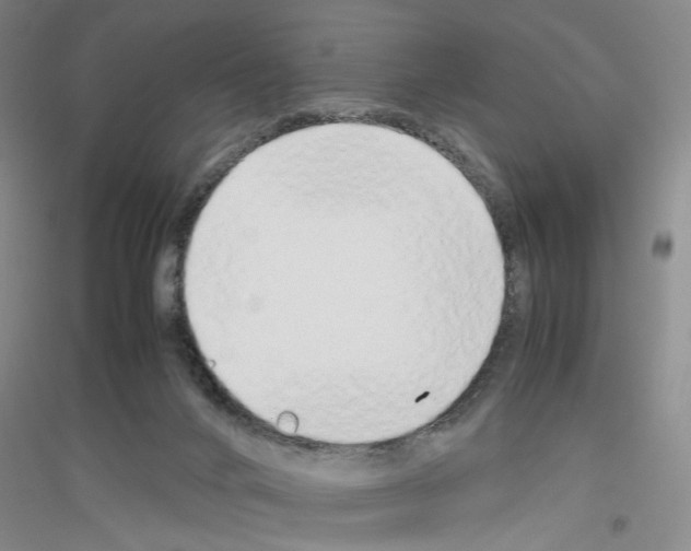 X0000116880024201002021157