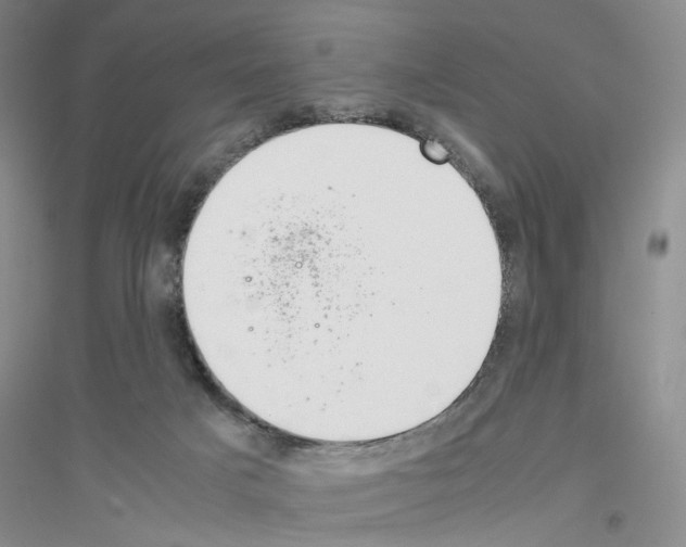 X0000116880025201002021157