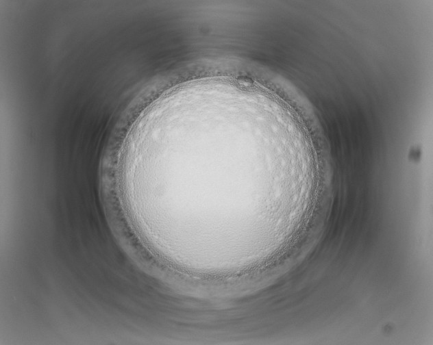 X0000116880026201002021157