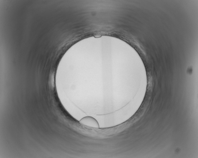 X0000116880027201002021157