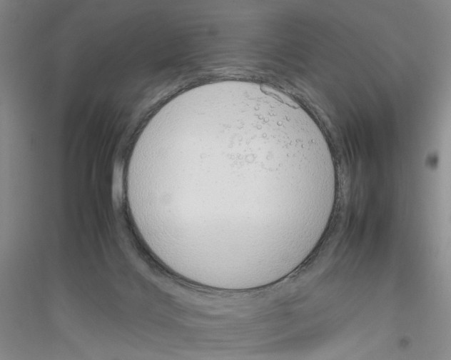 X0000116880028201002021157