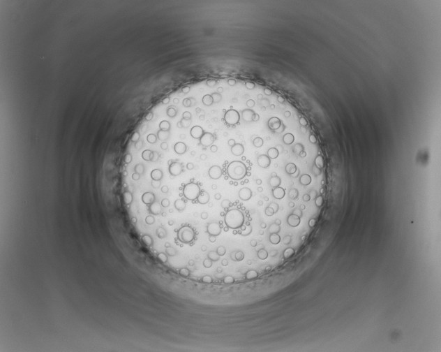 X0000116880030201002021157