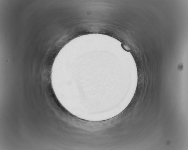 X0000116880031201002021157